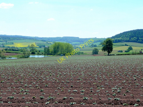 Photo 6"x4" Potato crop and irrigation ponds Kingstone\/SO6324 c2010