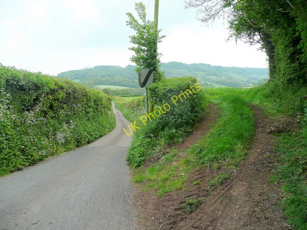 Photo 6"x4" The Dyffryn Coed Cwnwr c2010