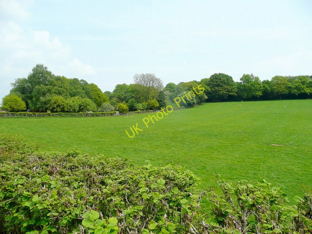 Photo 6"x4" Pastoral scene at Itton Common Itton\/ST4995 c2010