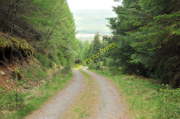 Photo 6"x4" Forest road near Inverlair Inverlair c2010