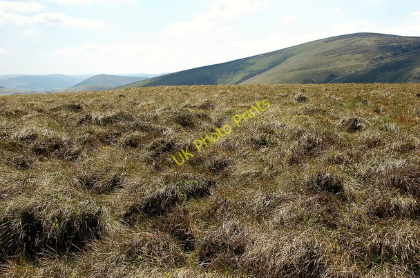 Photo 6"x4" Summit area of Burntshiel Rig Middle Hill\/NT3346 c2010