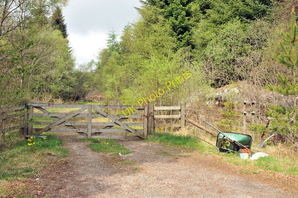 Photo 6"x4" Gated forest road into Torr Wood Fersit c2010