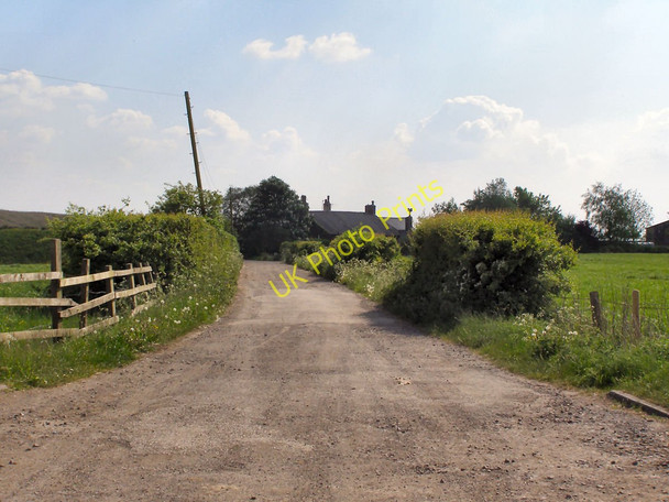 Photo 6"x4" Rosemary Lane Atherton c2010