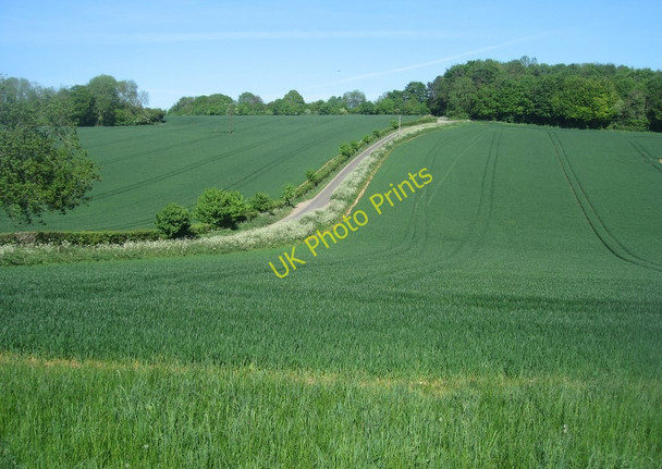 Photo 6"x4" Grammarsham Lane Farleigh Wallop c2010