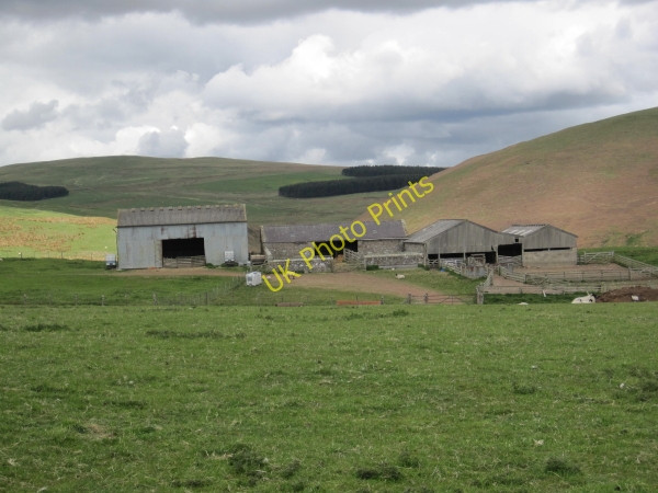 Photo 6"x4" Old Hazeltonrig Alnham c2010