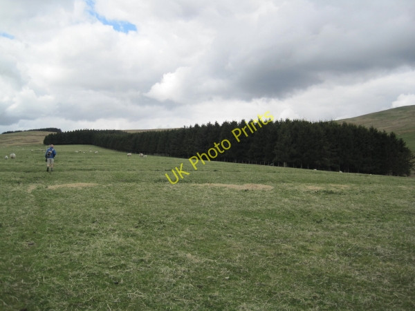 Photo 6"x4" Footpath towards Bleak Law Alnham c2010