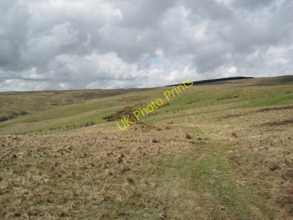 Photo 6"x4" Bridleway towards Bleak Law Alnham c2010