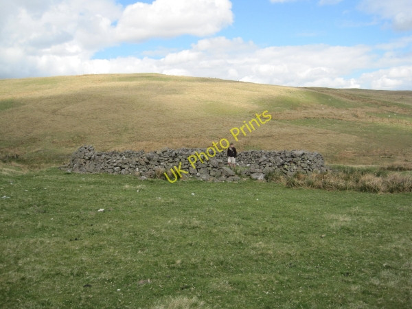 Photo 6"x4" Sheepfold near Bleak Law Clennell c2010