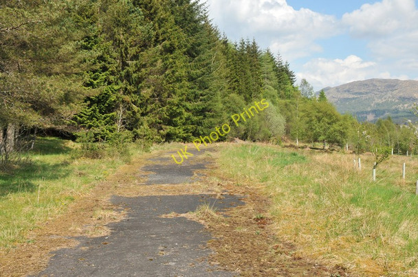 Photo 6"x4" The old A86 near Loch Laggan, now disused Torgulbin c2010