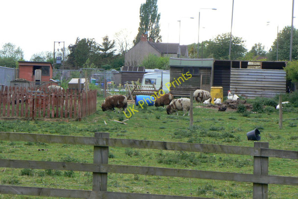 Photo 6"x4" Allotments, Nottingham Road Ripley\/SK4050 c2010
