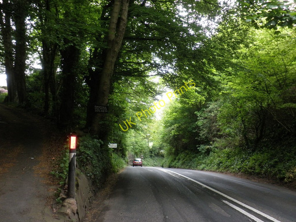 Photo 6"x4" Longdown Road Ide c2010
