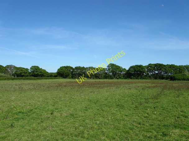 Photo 6"x4" The Barn Field Ripe c2010