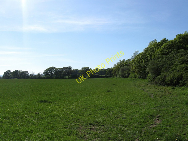 Photo 6"x4" Barn Field Broomham\/TQ5212 c2010