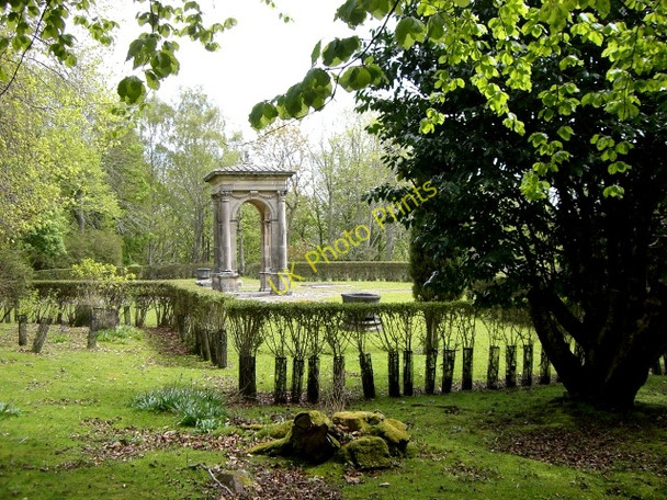 Photo 6"x4" Burial ground in Dunrobin Woods Uppat c2010