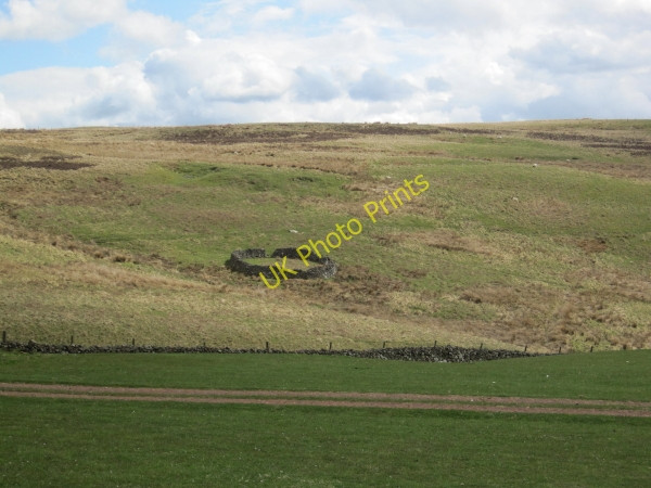 Photo 6"x4" Sheepfold near Puncherton Clennell c2010