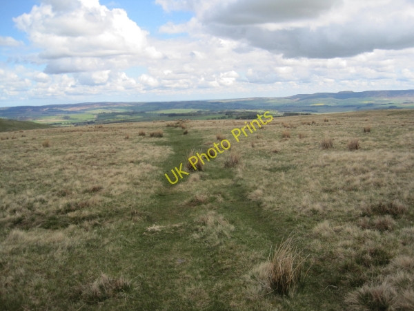 Photo 6"x4" Footpath around Loundon Hill Clennell c2010