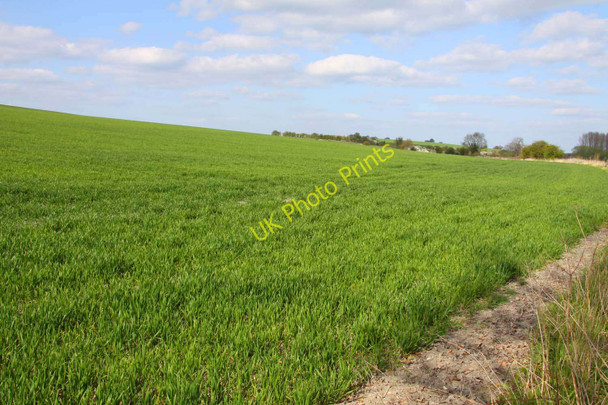 Photo 6"x4" Arable field near Cutt Mill Cuxham c2010