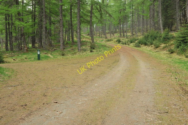 Photo 6"x4" Junction of forest roads in Clashindarroch Forest Leids Hill c2010