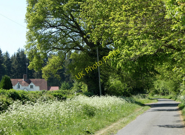 Photo 6"x4" 2010 : Near Raxters Farm on Five Ash Lane Sutton Veny c2010