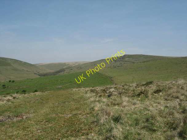 Photo 6"x4" Piles Copse and Sharp Tor Harford\/SX6359 c2010