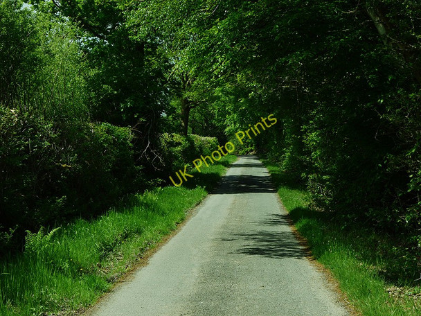Photo 6"x4" Minor road across Rhos Cilcennin Cilcennin c2010