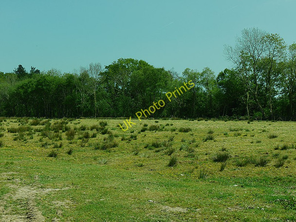 Photo 6"x4" Field south of Coed Cilcennin c2010