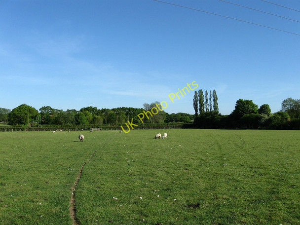 Photo 6"x4" House Field Chalvington c2010