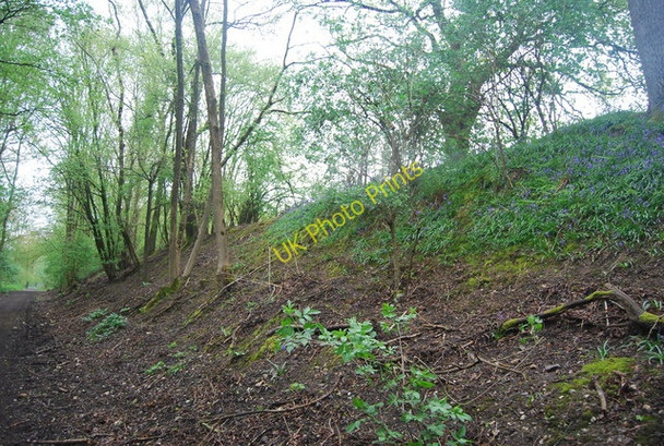 Photo 6"x4" Railway cutting, The Downs Way Cranleigh c2010