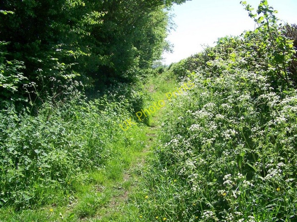 Photo 6"x4" Bridleway near Crux Easton Crux Easton c2010