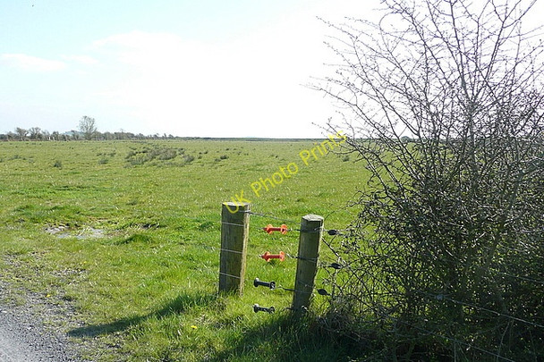 Photo 6"x4" Pasture at Ing Newmarket on Fergus c2010
