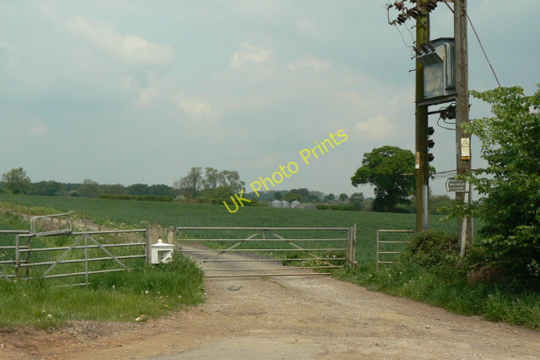 Photo 6"x4" Lane to Starthwood Farm Westville\/SK5147 c2010