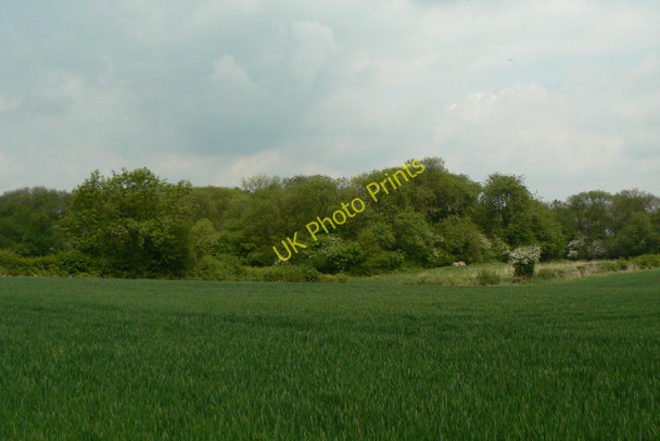 Photo 6"x4" Starth Wood Hucknall c2010