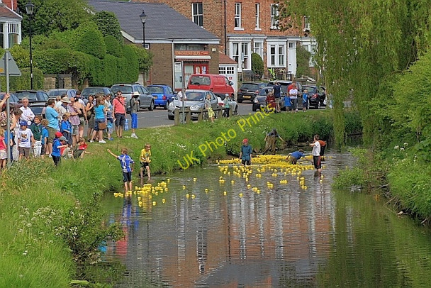 Photo 6"x4" Annual Duck Race, River Leven Langbaurgh c2010