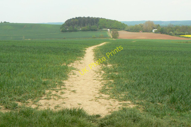 Photo 6"x4" Footpath from Misk Hill Beauvale\/SK5248 c2010