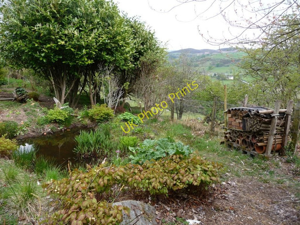 Photo 6"x4" Wildlife garden at Caerau Uchaf Sarnau\/SH9739 c2010