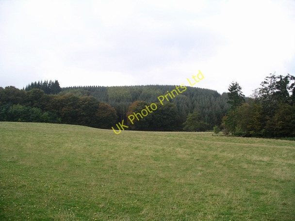 Photo 6"x4" Tappit-hen Wood Hightae\/NY0978 c2007