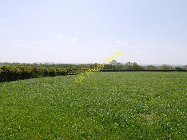 Photo 6"x4" Field near Lluest-mawr farm Pennant\/SN5163 c2010
