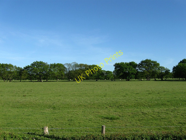Photo 6"x4" New Barn Field Chalvington c2010
