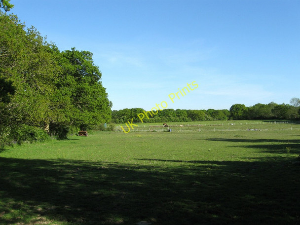 Photo 6"x4" Pococks Field Chalvington c2010
