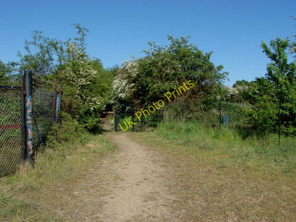 Photo 6"x4" Wrecclesham, Surrey Farnham\/SU8446 c2010