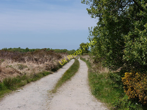 Photo 6"x4" Track over Rhos Cilcennin Pennant\/SN5163 c2010