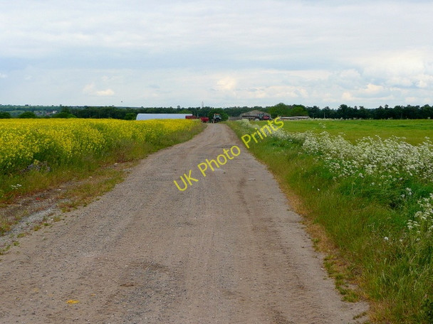 Photo 6"x4" Track to Airfield Farm North Kelsey Moor c2010