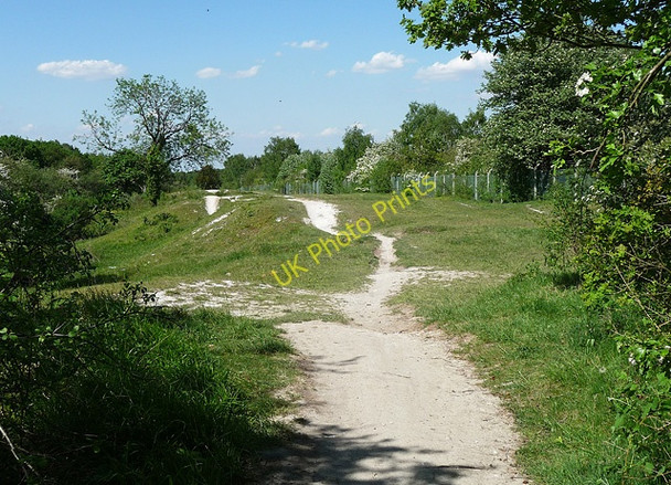 Photo 6"x4" Banstead Downs (3) Banstead c2010