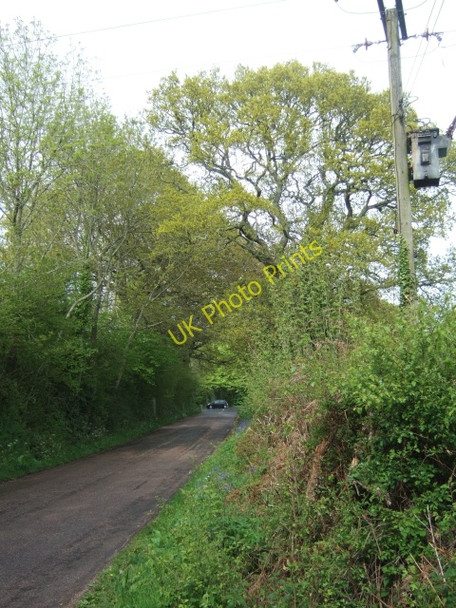 Photo 6"x4" A minor road near Exmouth Hulham c2010