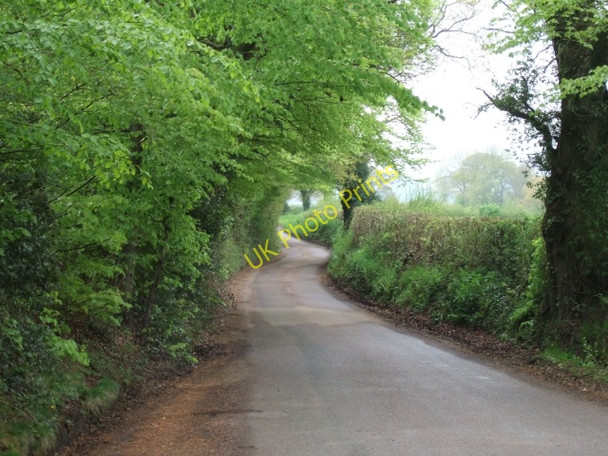 Photo 6"x4" Looking down a side road off the B3180 Woodmanton\/SY0185 c2010