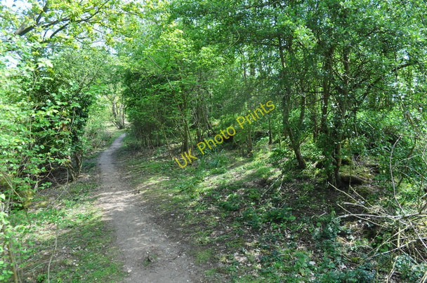 Photo 6"x4" Southwold Railway Broadway\/TM3978 c2010