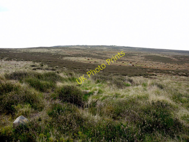 Photo 6"x4" Brow Moor Ravenscar c2010