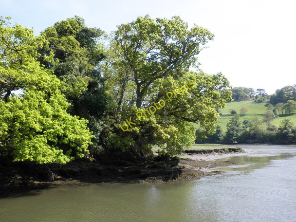 Photo 6"x4" Bend, in the River Dart Totnes c2010