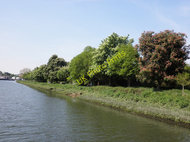 Photo 6"x4" Riverside walk, east of Totnes Totnes c2010