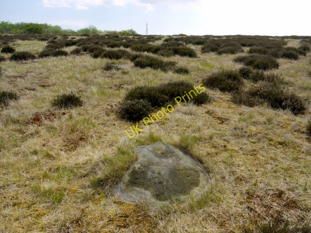 Photo 6"x4" Cup marked boulder, Brow Moor Ravenscar c2010